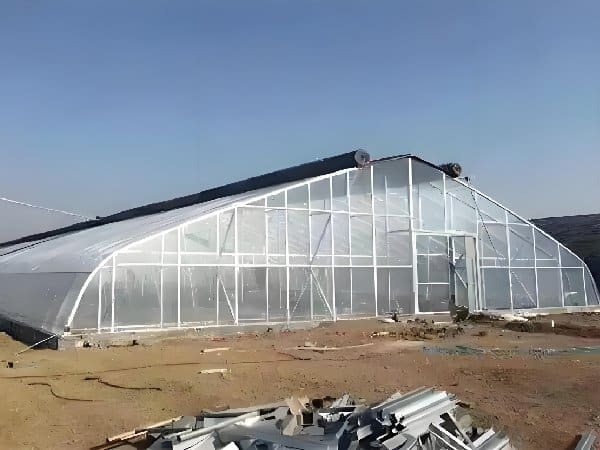 Even-span greenhouse with uniform light distribution