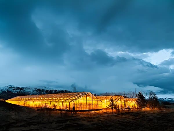 Ornamental even-span greenhouse in an urban setting