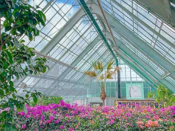 Ornamental even-span greenhouse in the city