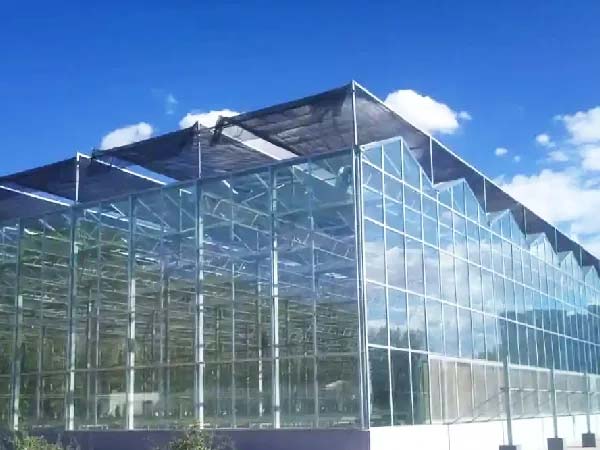 External shade cloth system installed above a glass greenhouse
