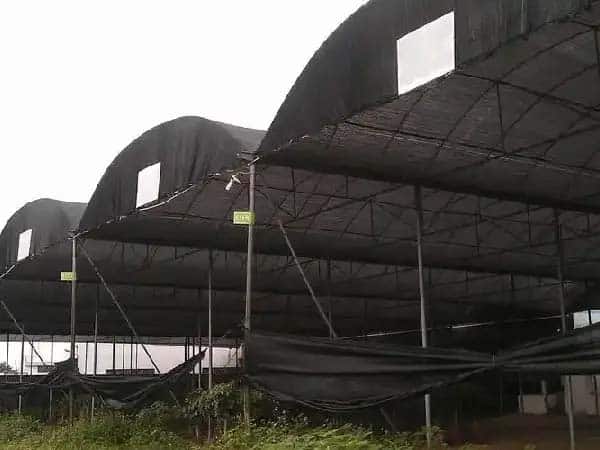 Shade net structure designed for wind resistance