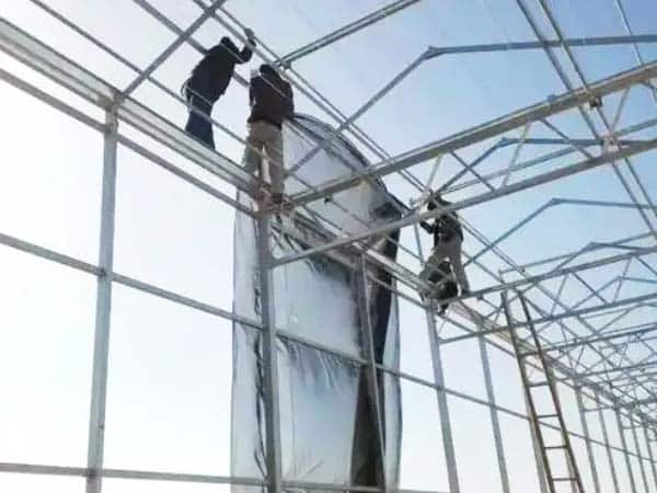 Shade screen being installed on a greenhouse