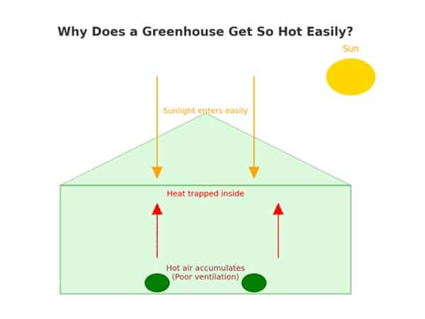 Why Does a Greenhouse Get So Hot in Summer