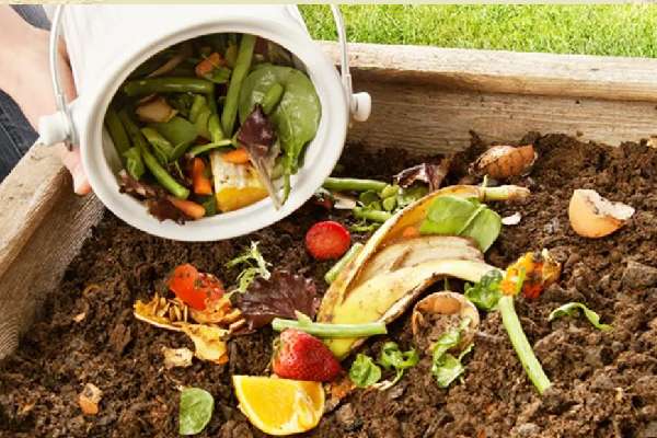 Home compost heating for small greenhouses.