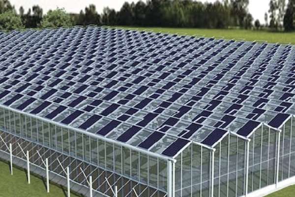 Photovoltaic solar panel greenhouse.