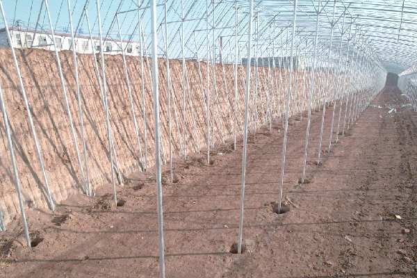 Semi-underground daylight greenhouse.