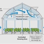 How Greenhouse Thermal Screens Improve Energy Efficiency