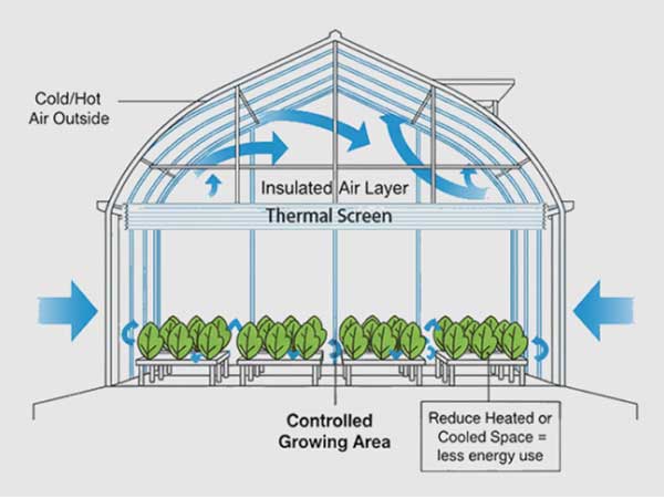 How Greenhouse Thermal Screens Improve Energy Efficiency