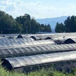 Greenhouse Blackout Ideas